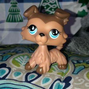 Littlest pet shop collie